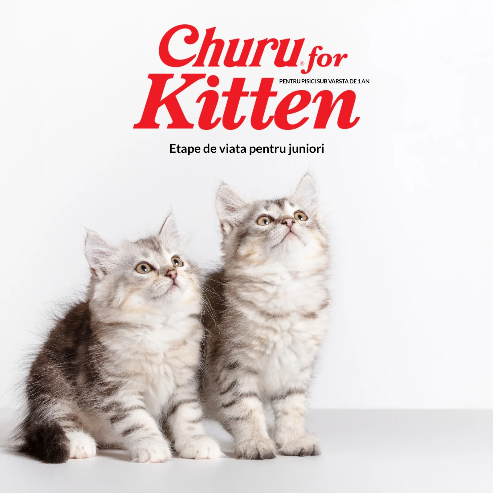 Churu Recompensa Cremoasa Kitten cu Ton - imagine 5