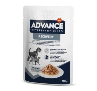 advance veterinary diets canine feline recovery