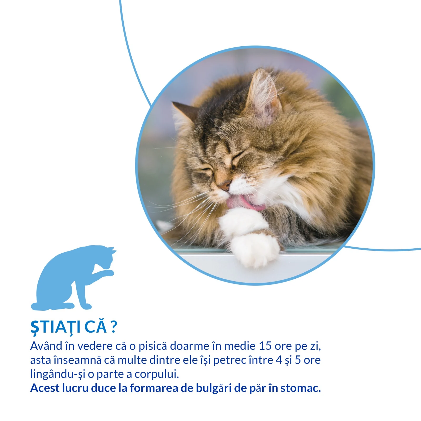 Ciao Churu Hairball Control Recompensa Cremoasa cu Ton - imagine 7