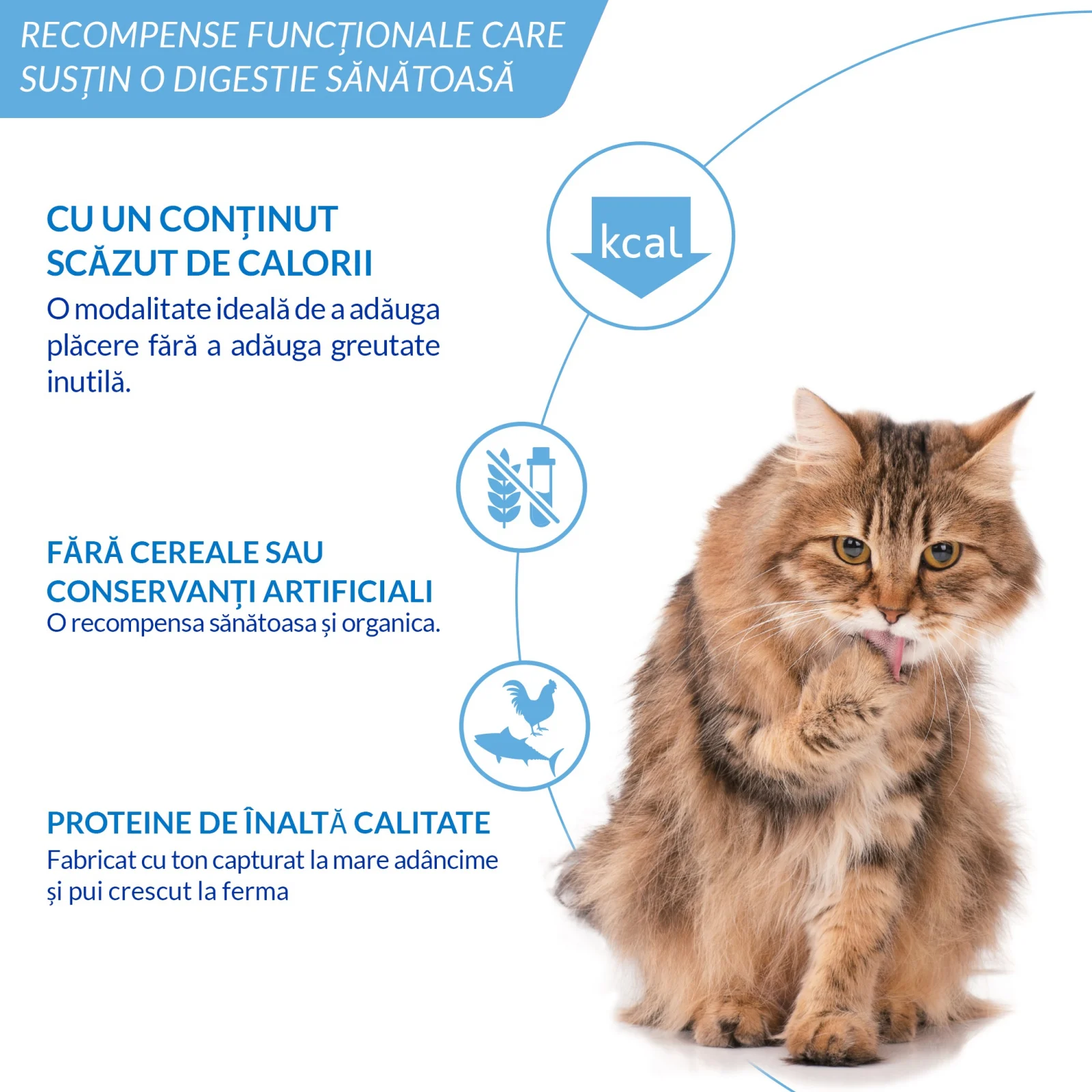 Ciao Churu Hairball Control Recompensa Cremoasa cu Ton - imagine 6